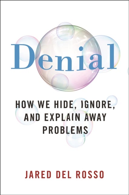 Denial - How We Hide, Ignore, and Explain Away Problems