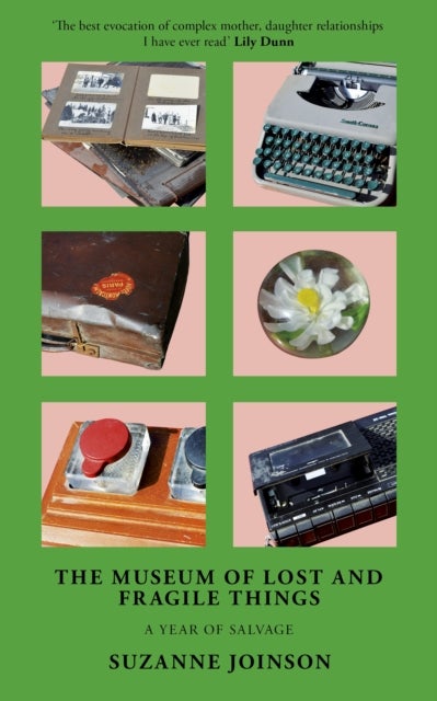 The Museum of Lost and Fragile Things - A Year of Salvage