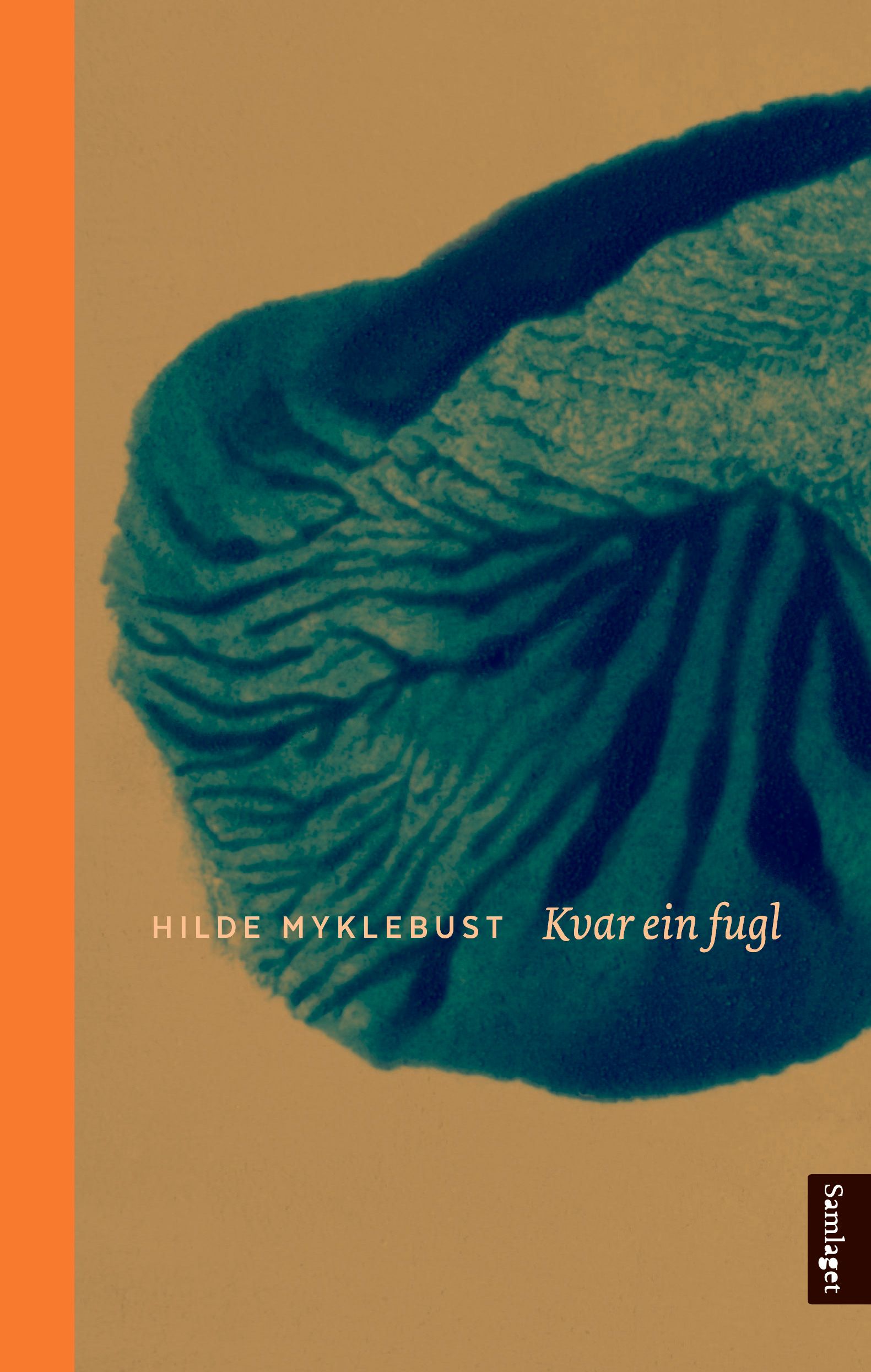 Kvar ein fugl - dikt