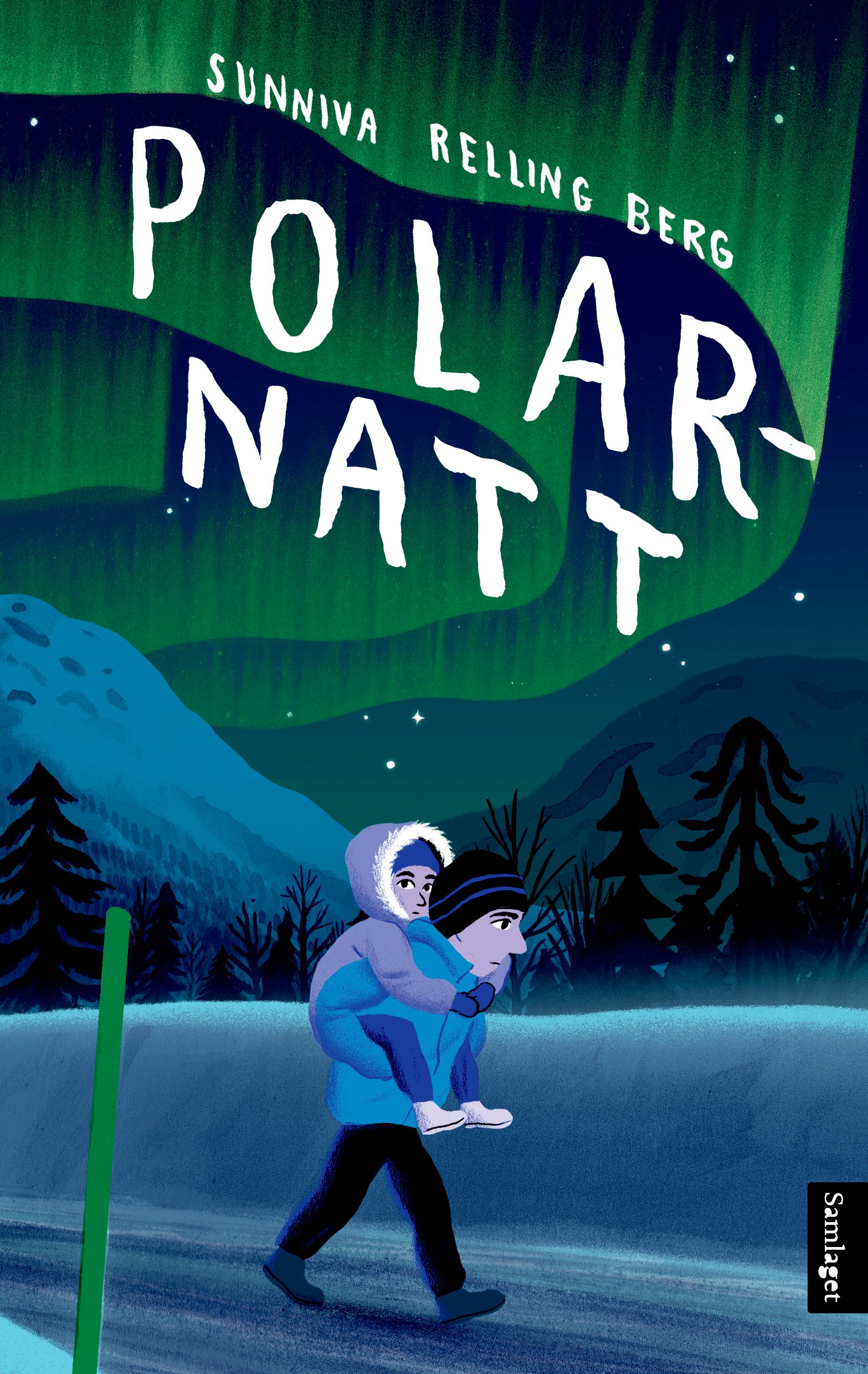 Polarnatt - roman