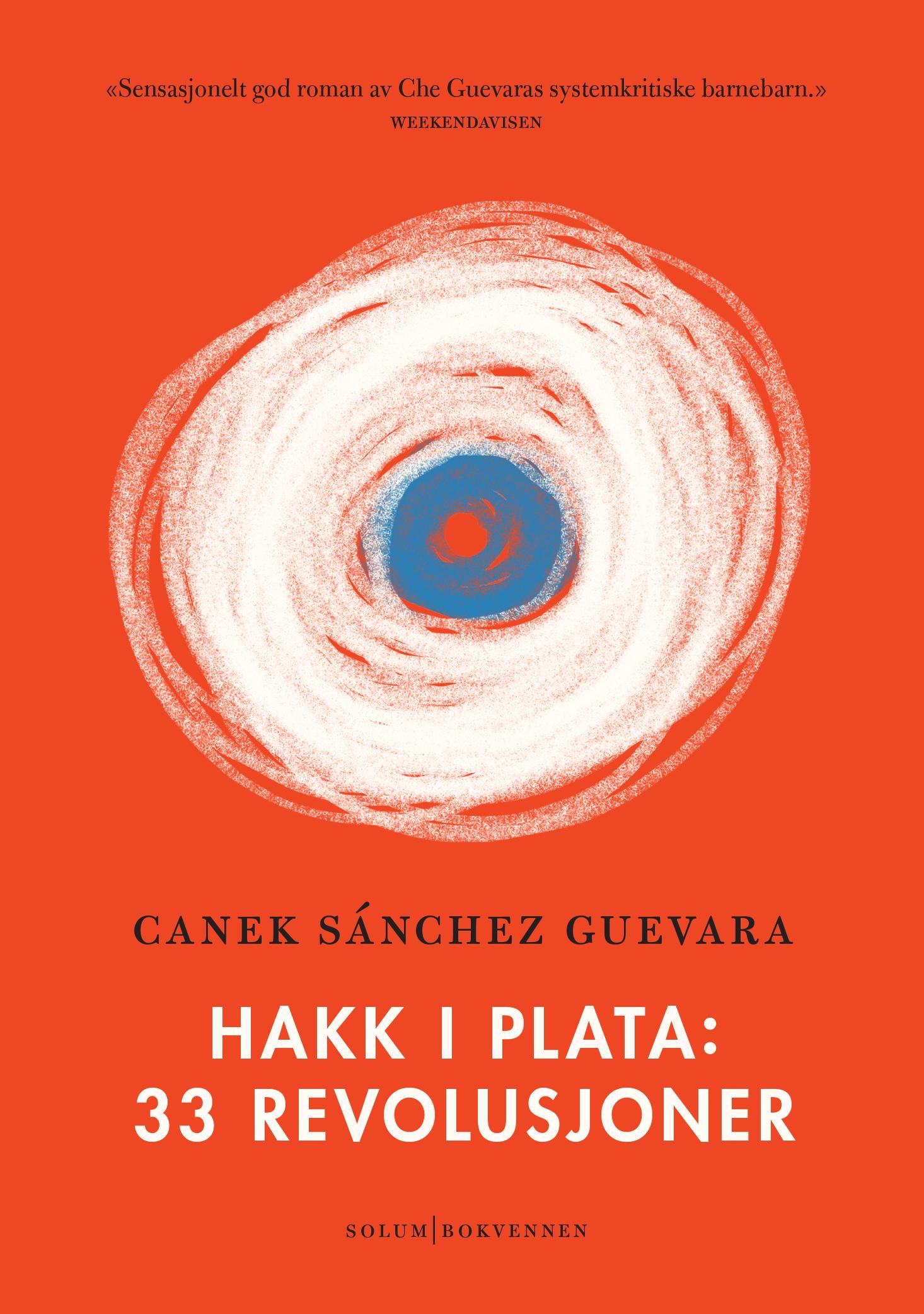 Hakk i plata - 33 revolusjoner : roman
