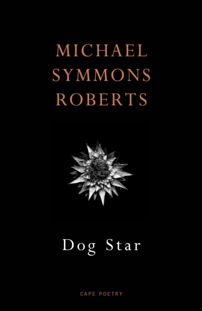 Dog Star