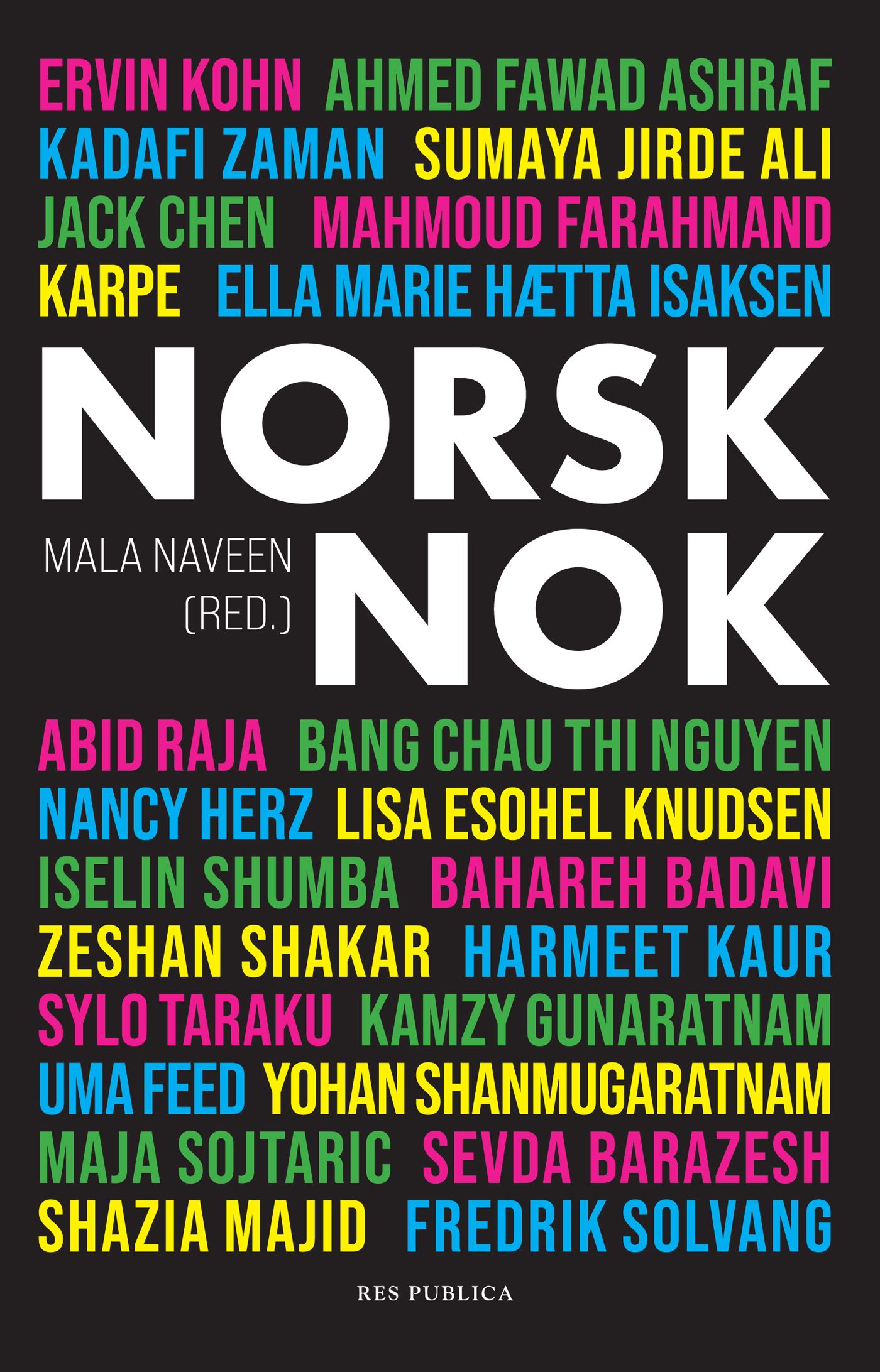 Norsk nok - tekster om identitet og tilhørighet