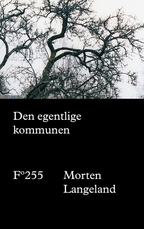 Den egentlige kommunen