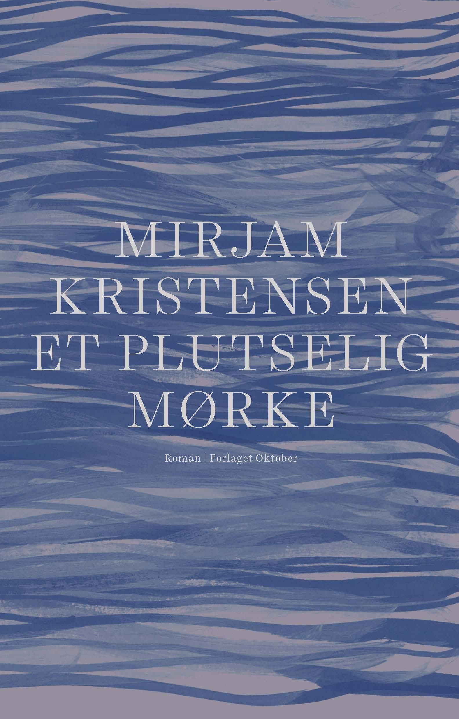Et plutselig mørke - roman