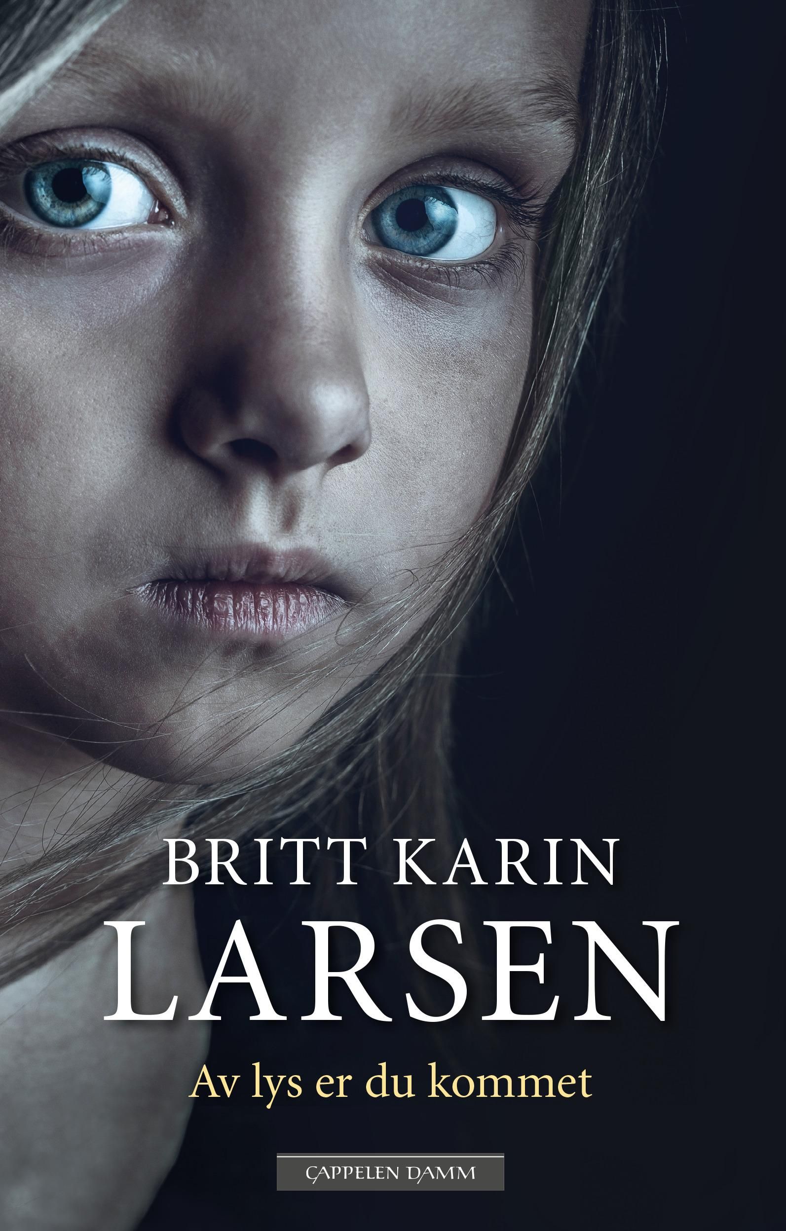 Av lys er du kommet - roman