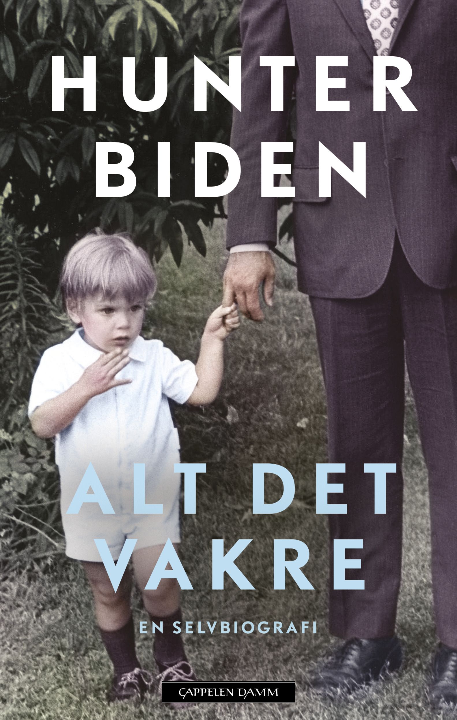 Alt det vakre - en selvbiografi