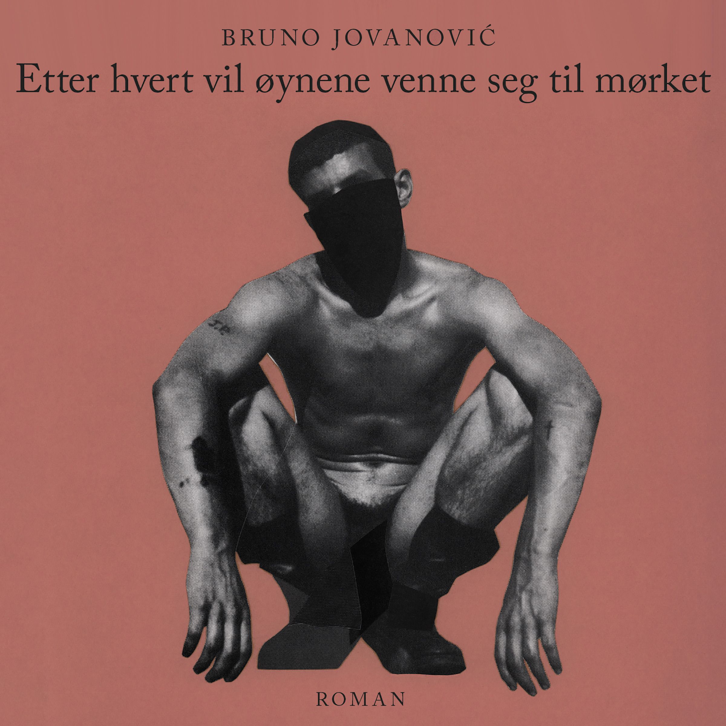 Etter hvert vil øynene venne seg til mørket - roman