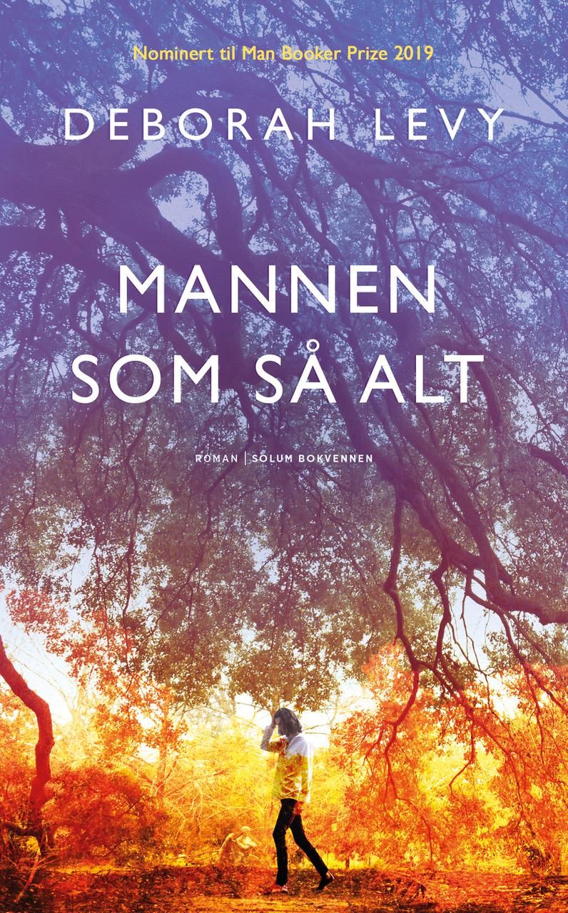 Mannen som så alt - roman