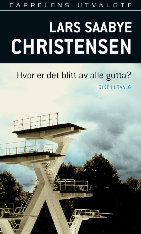 Hvor er det blitt av alle gutta? - dikt i utvalg 1973-90
