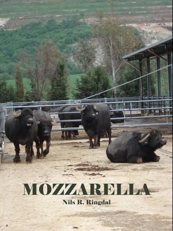 Mozzarella - roman