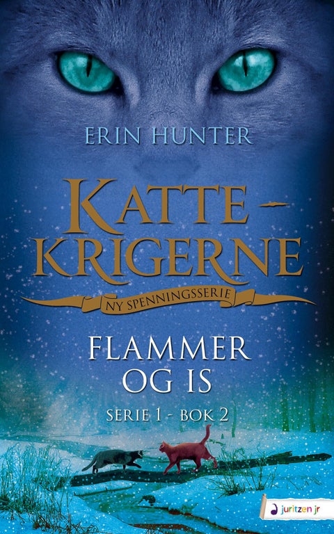 Flammer og is