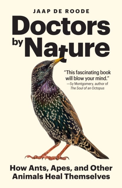 Doctors by Nature - How Ants, Apes, and Other Animals Heal Themselves