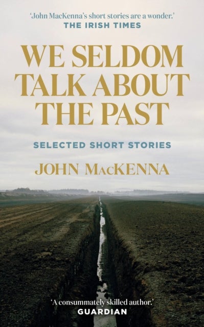 We Seldom Talk About the Past - Selected Short Stories