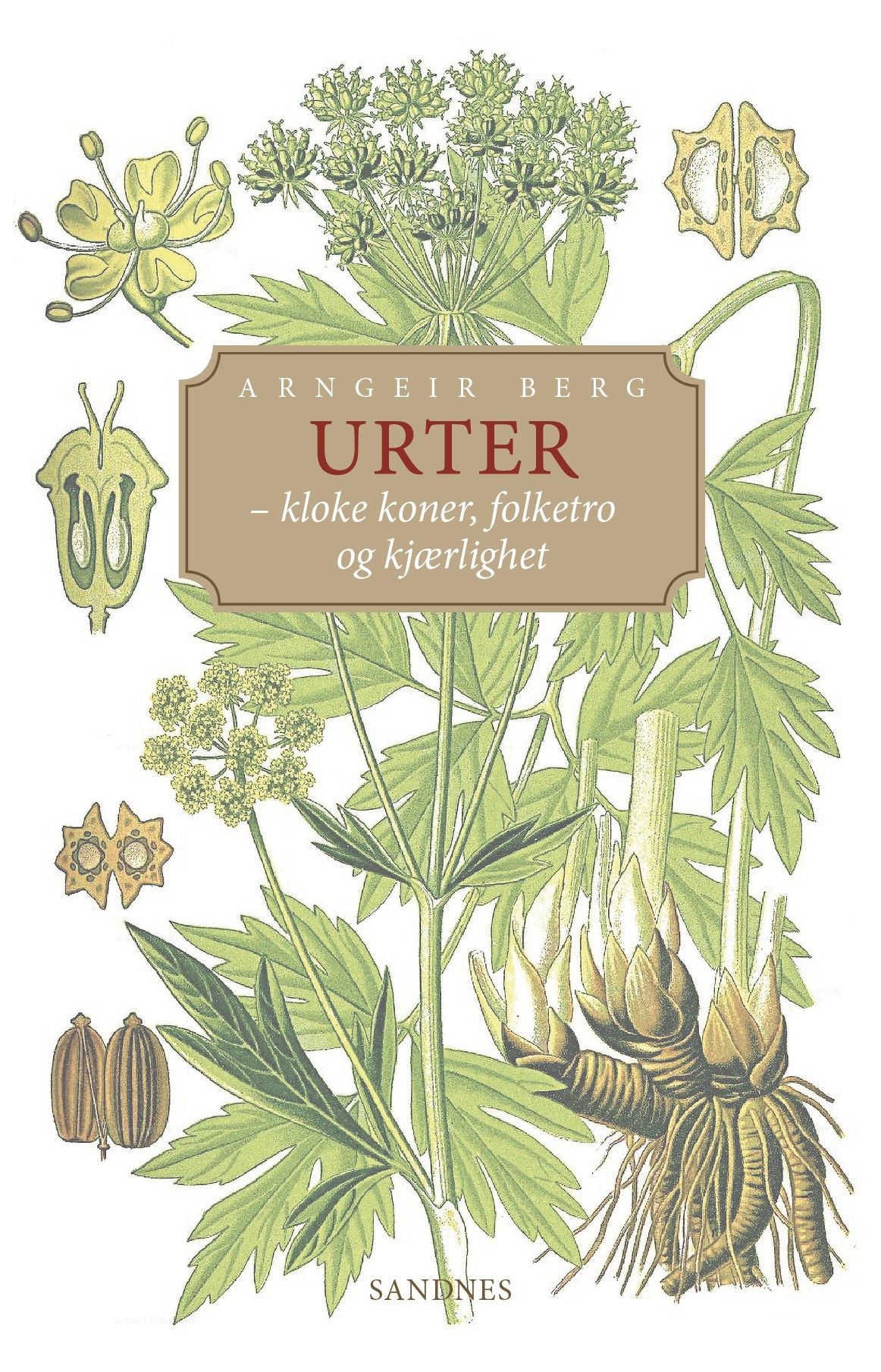 Urter - kloke koner, folketro og kjærlighet