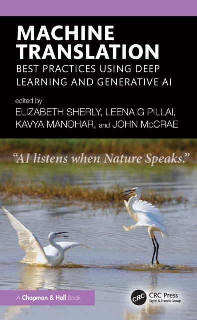 Machine Translation - Best Practices using Deep Learning and Generative AI