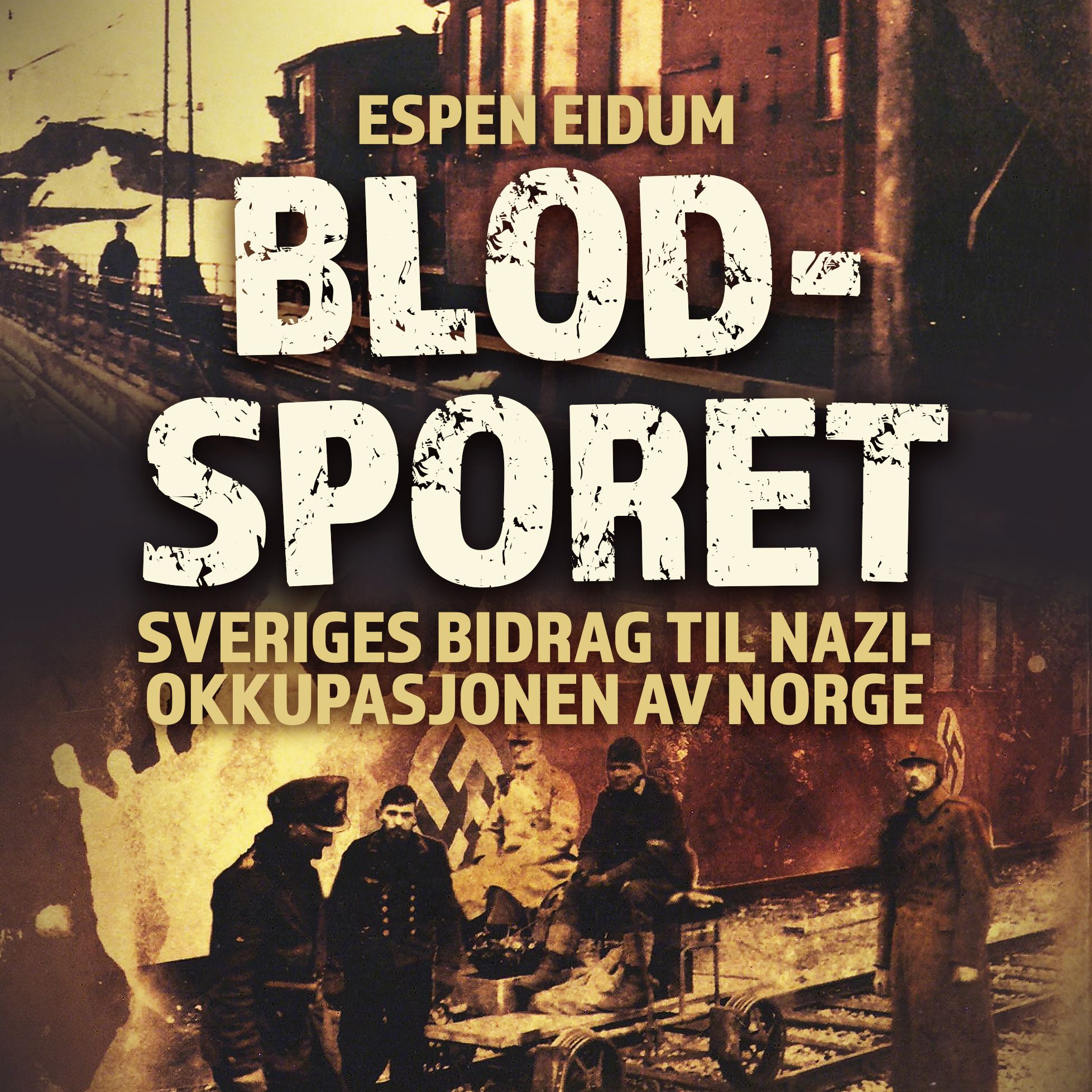 Blodsporet - Sveriges bidrag til nazi-okkupasjonen av Norge