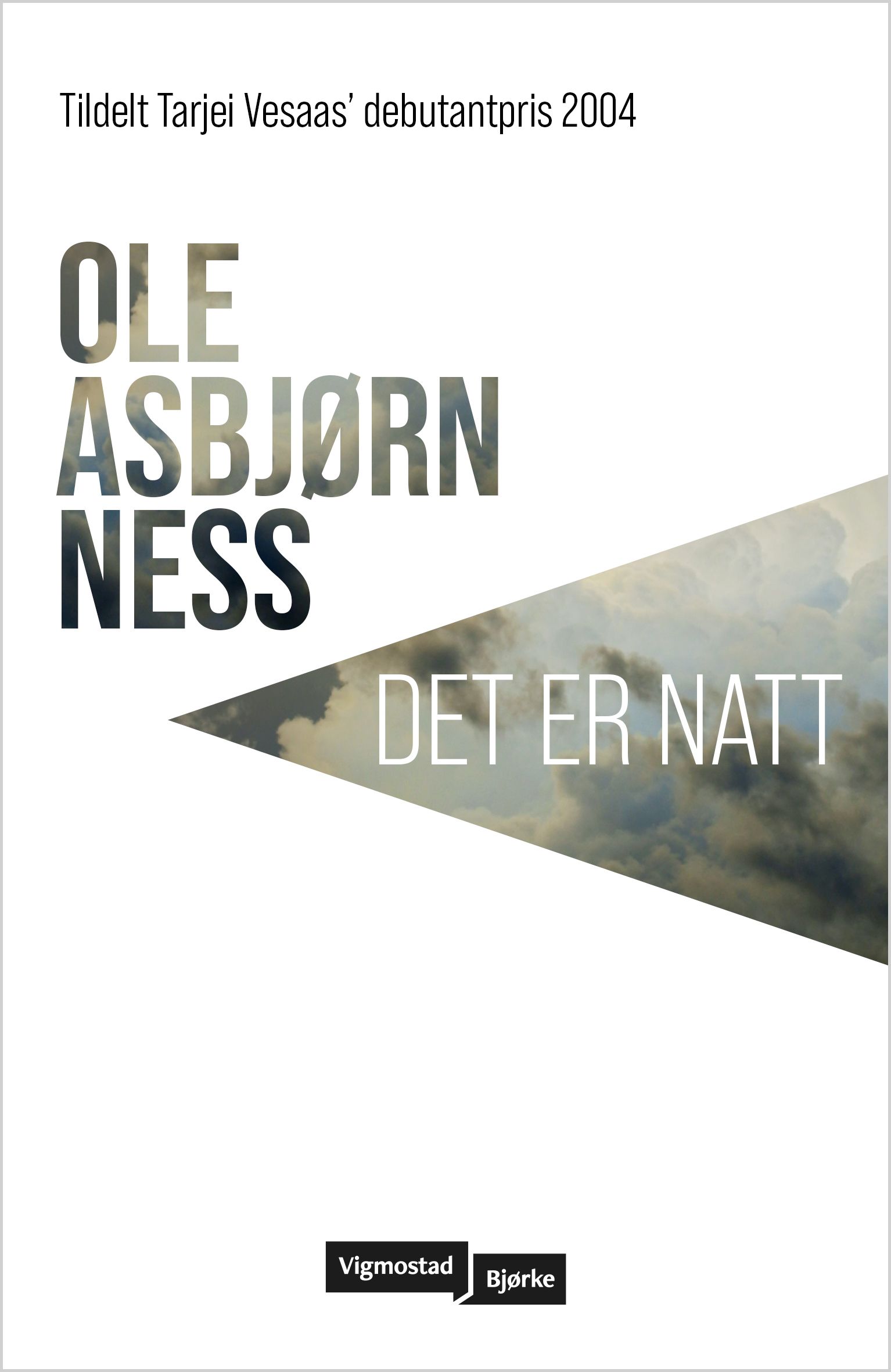 Det er natt - roman