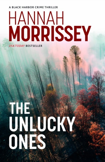 The Unlucky Ones - A gripping small-town noir with a deadly love affair at its core (Black Harbor 4)