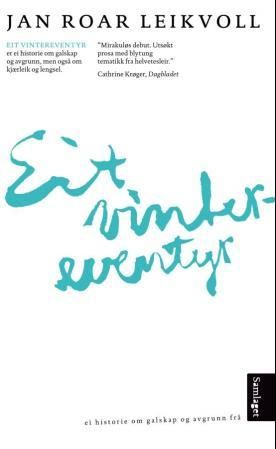 Eit vintereventyr - roman
