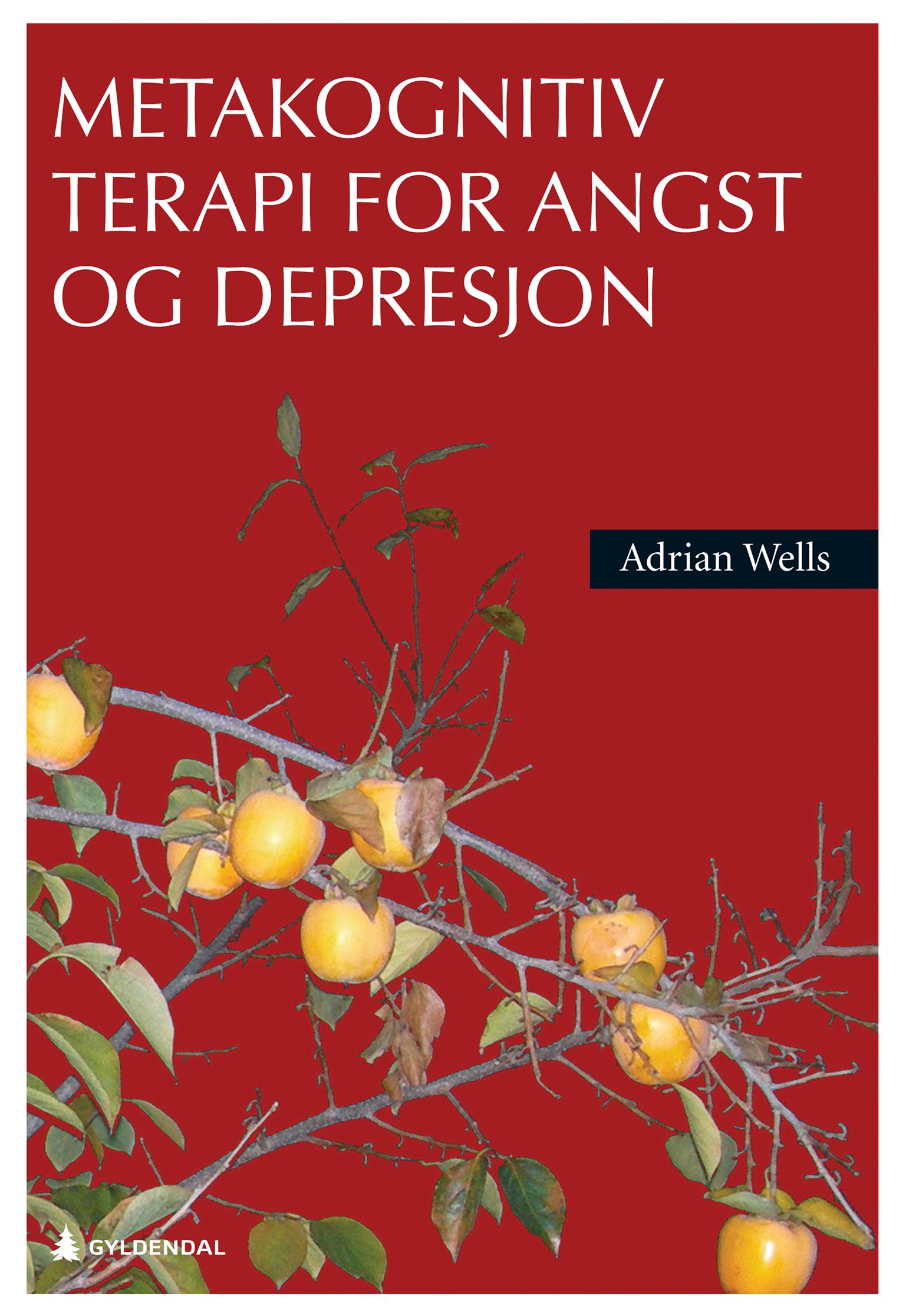 Metakognitiv terapi for angst og depresjon