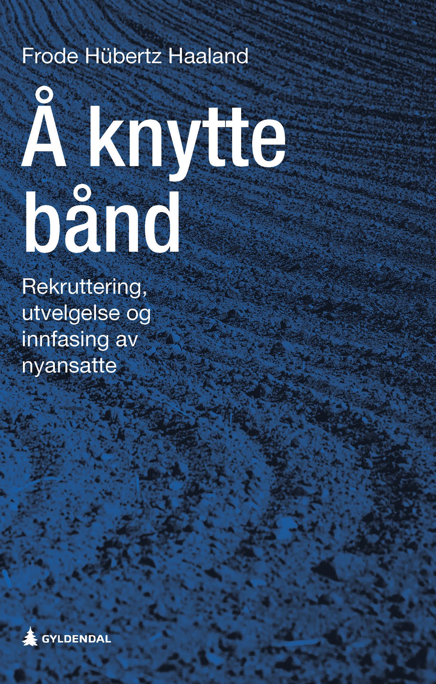 Å knytte bånd - rekruttering, utvelgelse og innfasing av nyansatte