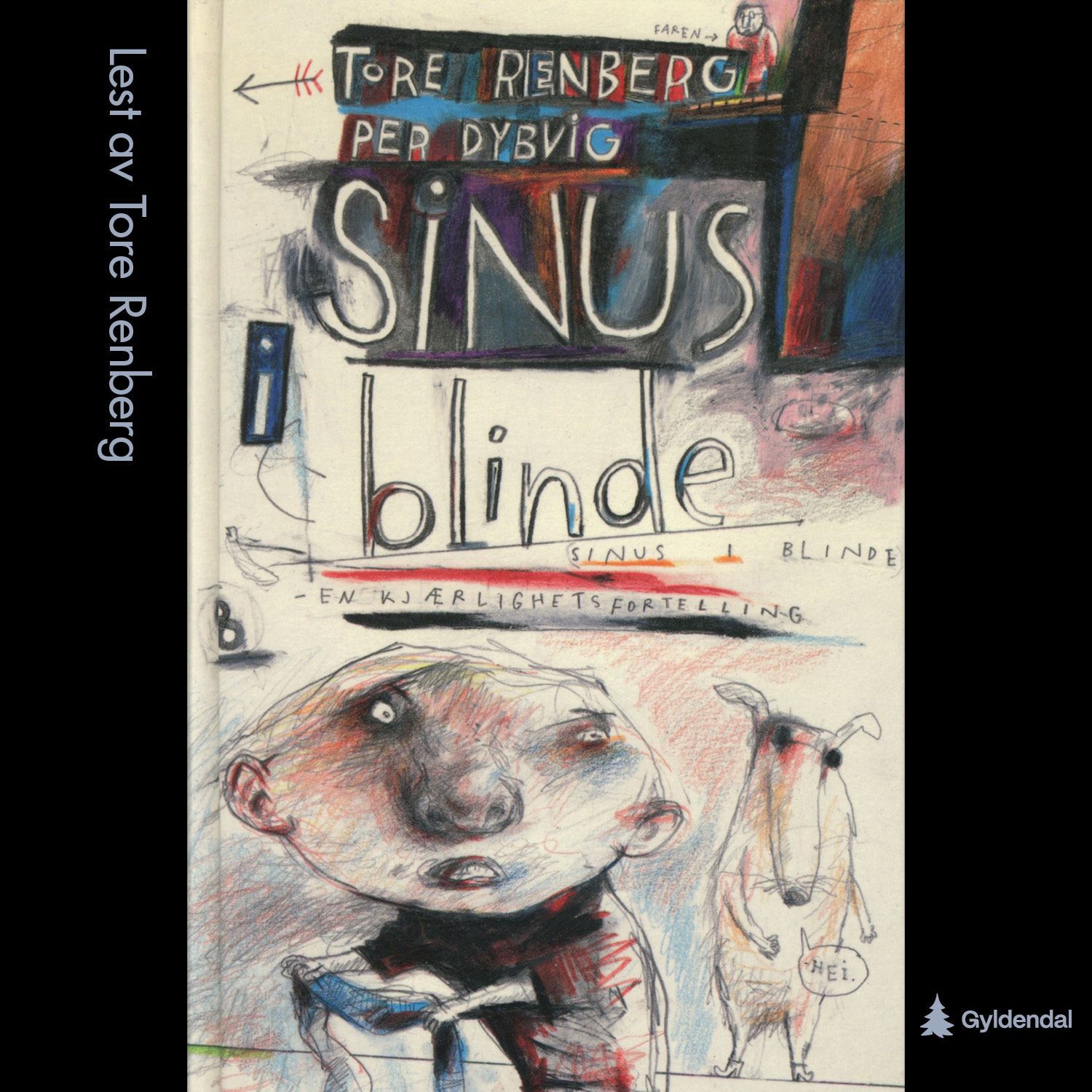 Sinus i blinde - en kjærlighetsfortelling