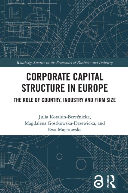 Corporate Capital Structure in Europe - The Role of Country, Industry and Firm Size