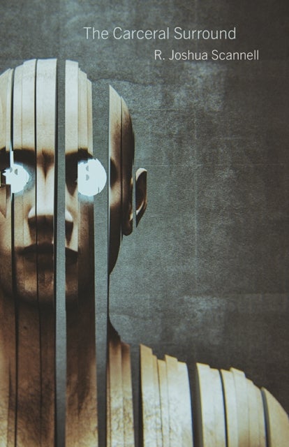 The Carceral Surround