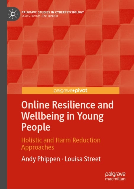 Online Resilience and Wellbeing in Young People - Holistic and Harm Reduction Approaches