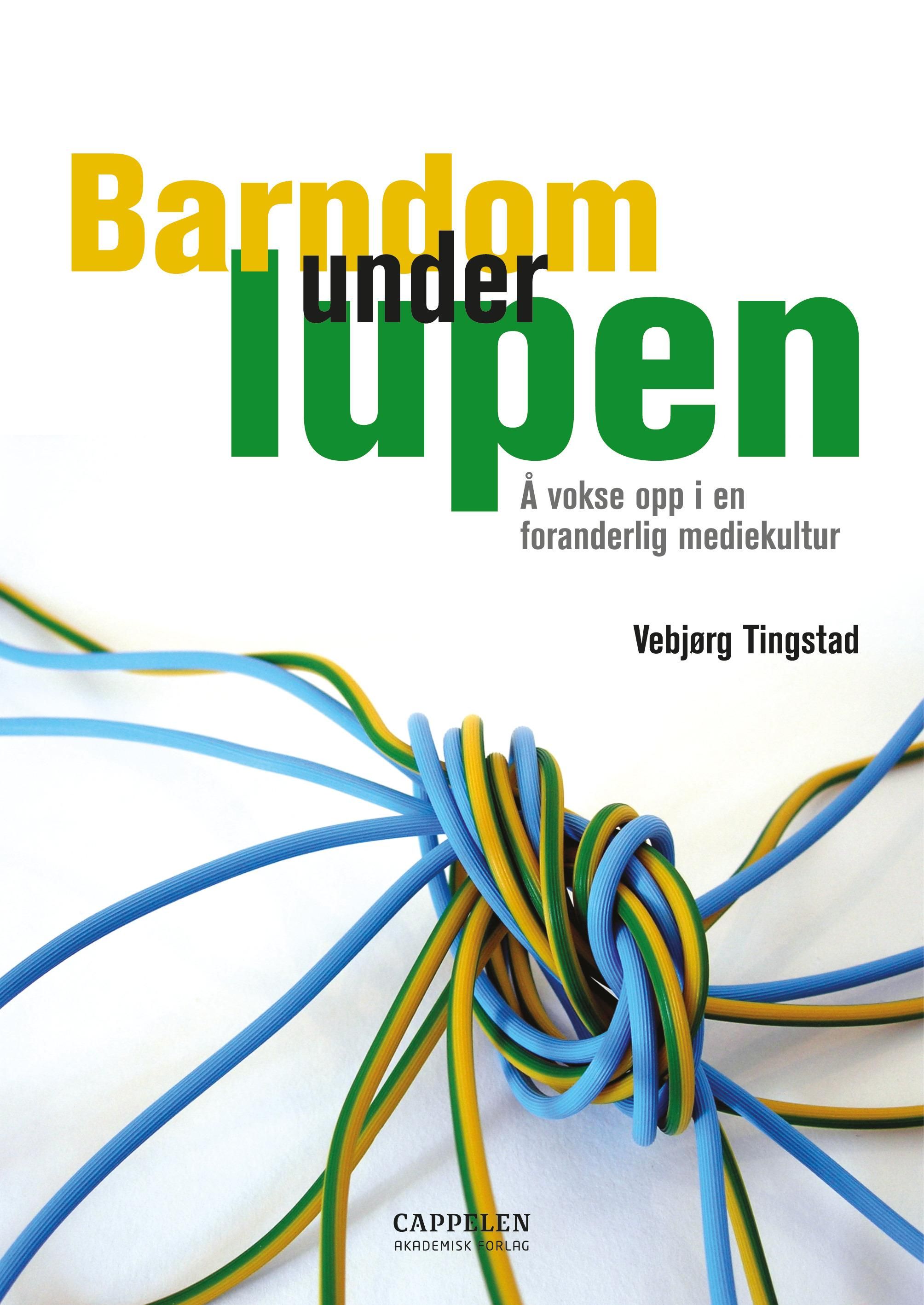 Barndom under lupen - å vokse opp i en foranderlig mediekultur