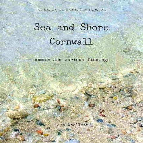 Sea and Shore Cornwall - Common and Curious Findings