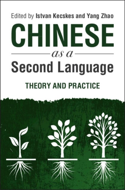 Chinese as a Second Language - Theory and Practice