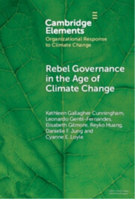 Rebel Governance in the Age of Climate Change