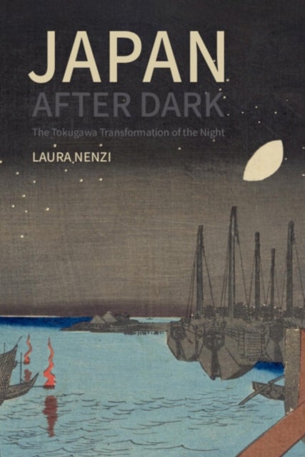 Japan After Dark - The Tokugawa Transformation of the Night