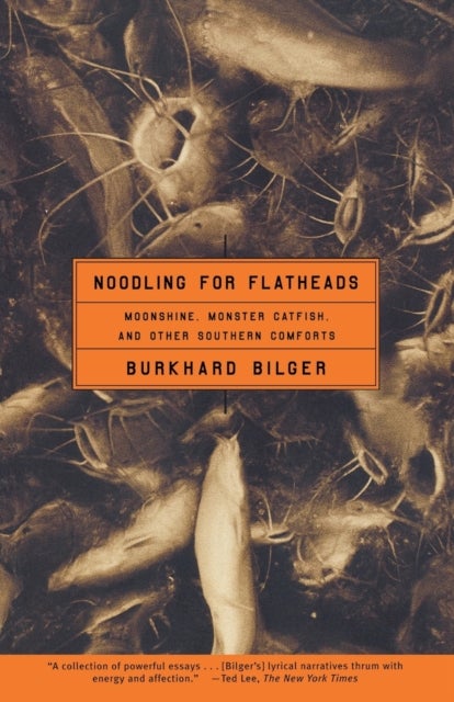 'Noodling for Flatheads: Moonshine, Monster Catfish, and Other Southern Comforts '