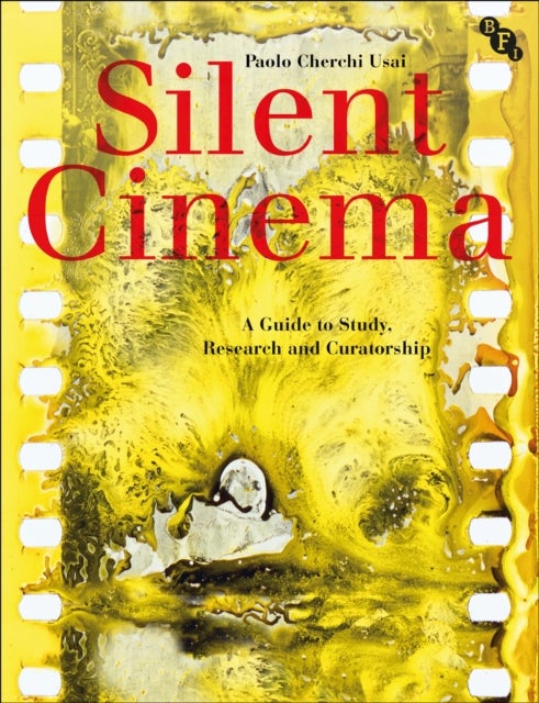 Silent Cinema - A Guide to Study, Research and Curatorship