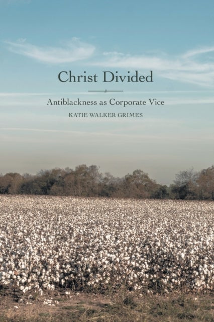 Christ Divided - Antiblackness as Corporate Vice