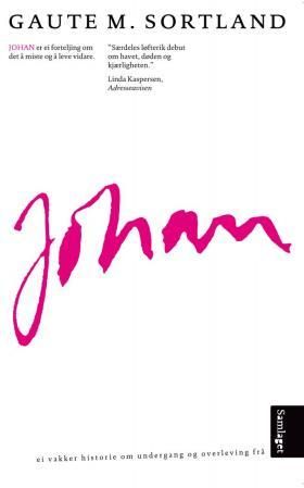 Johan - roman