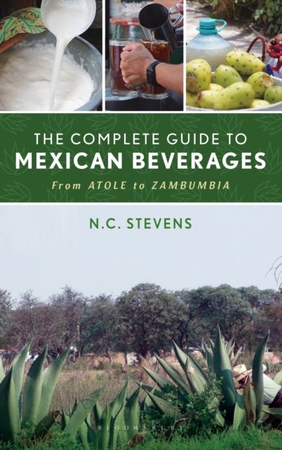 The Complete Guide to Mexican Beverages - From Atole to Zambumbia