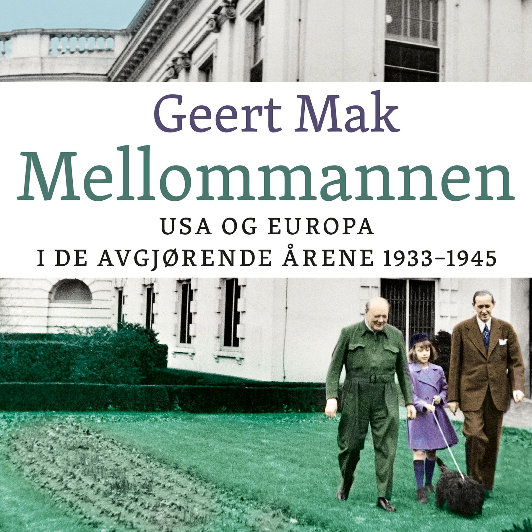 Mellommannen - USA og Europa i de avgjørende årene 1933-1945