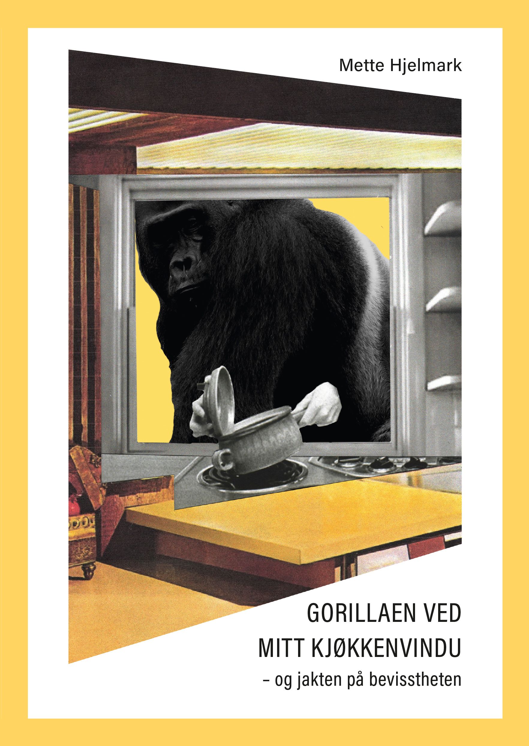 Gorillaen ved mitt kjøkkenvindu - og jakten på bevisstheten