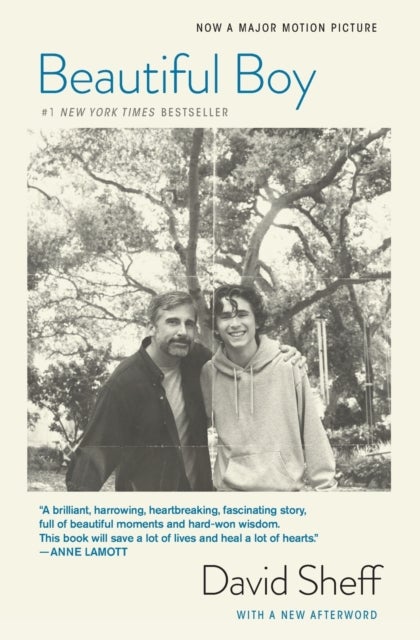 Beautiful Boy (tie-In) - A Father's Journey Through His Son's Addiction