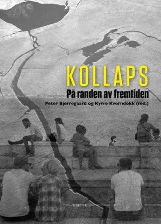 Kollaps - på randen av fremtiden