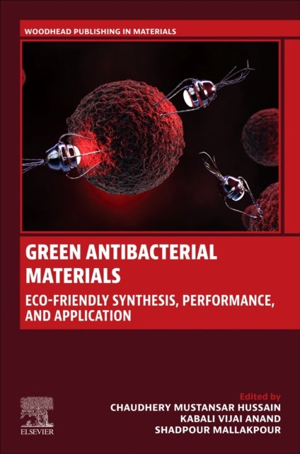 Green Antibacterial Materials - Eco-friendly Synthesis, Performance, and Applications