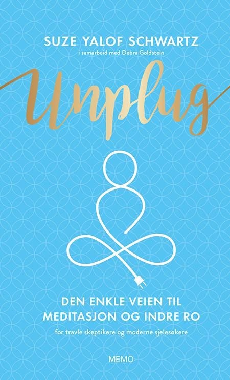 Unplug - den enkle veien til meditasjon og indre ro : for travle skeptikere og moderne sjelesøkere
