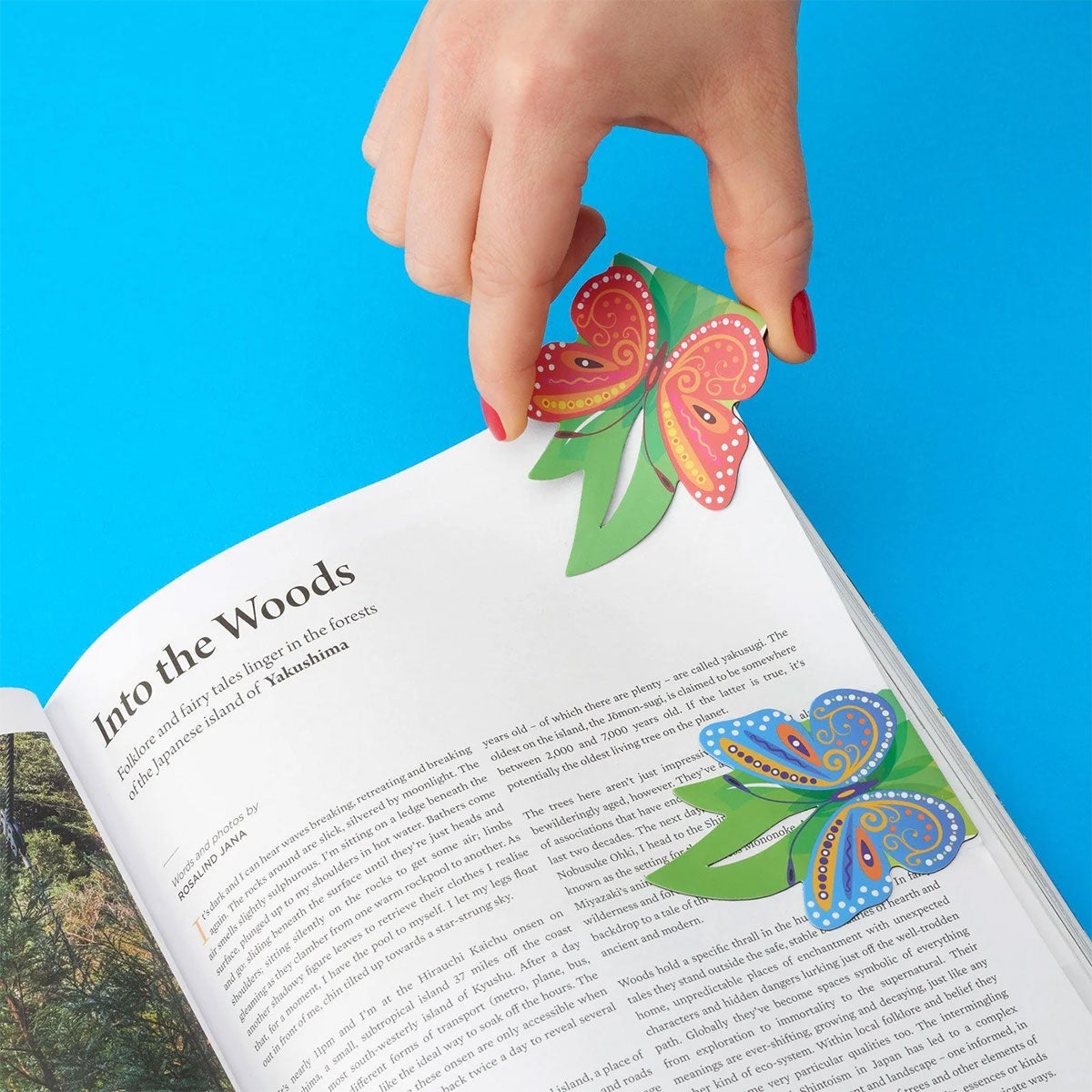 Linemarkers Butterflies