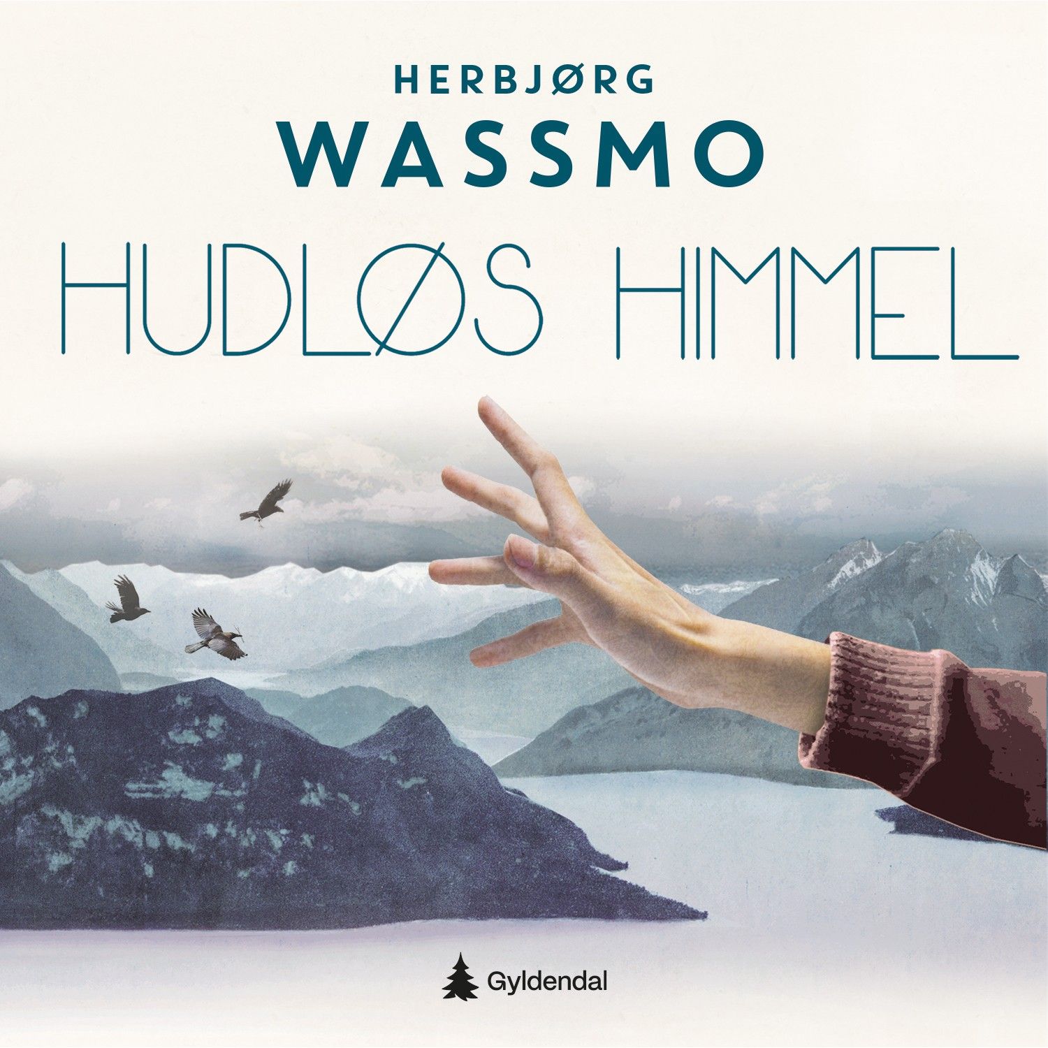 Hudløs himmel