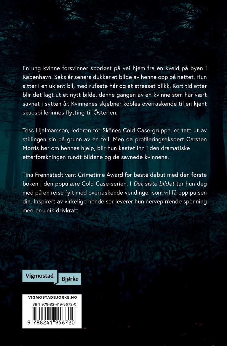 Det siste bildet