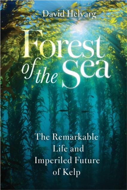 Forest of the Sea - The Remarkable Life and Imperiled Future of Kelp